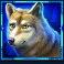 mystic-chief-slot-wolf-symbol