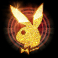 playboy-fortunes-hyperspins-slot-playboy-scatter-symbol