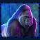 rumble-rhino-megaways-slot-gorilla-symbol