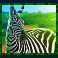 rumble-rhino-megaways-slot-zebra-symbol