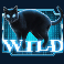 the-matrix-slot-black-cat-wild-symbol