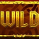 vikings-unleashed-megaways-slot-wild-symbol