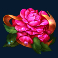 wild-toro-2-slot-pink-rose-symbol