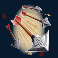 300-shields-extreme-slot-arrows-symbol