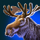 buffalo-blitz-megaways-slot-moose-symbol