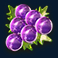 opal-fruits-slot-grapes-symbol