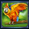 pirate-gold-slot-parrot-symbol