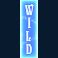 riders-of-the-storm-slot-mystery-wild-symbol