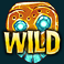 skeleton-key-slot-wild-symbol