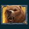 beasts-of-fire-slot-bear-symbol