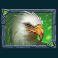 beasts-of-fire-slot-eagle-symbol