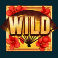 bushido-ways-slot-regular-wild-symbol