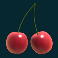 fruit-warp-slot-cherries-symbol