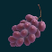 fruit-warp-slot-grapes-symbol
