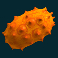 fruit-warp-slot-kiwano-symbol