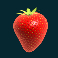 fruit-warp-slot-strawberry-symbol