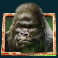 gorilla-kingdom-slot-gorilla-symbol