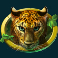 gorilla-kingdom-slot-leopard-symbol