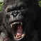 kong-the-8th-wonder-of-the-world-slot-kong-wild-symbol