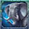 savannah-drums-slot-elephant-symbol