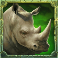 savannah-drums-slot-rhino-symbol