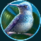 silverback-gold-slot-bird-symbol