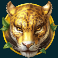 silverback-gold-slot-leopard-symbol