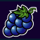 sizzling-hot-deluxe-slot-grapes-symbol