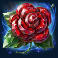 15-crystal-roses-a-tale-of-love-slot-scatter-symbol