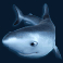 great-blue-slot-shark-symbol