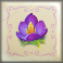 plunderland-slot-purple-flower-symbol