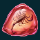 raging-rex-slot-fossil-4-symbol