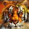 siberian-storm-slot-orange-tiger-symbol