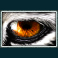 siberian-storm-slot-tigers-eye-bonus-symbol