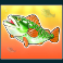 big-bass-bonanza-slot-fish-symbol