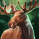 buffalo-rising-megaways-slot-elk-symbol