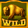 buffalo-rising-megaways-slot-gold-buffalo-wild-symbol