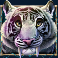 rock-vegas-slot-tiger-symbol