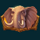 safari-of-wealth-slot-elephant-symbol