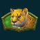 safari-of-wealth-slot-leopard-symbol