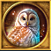 skadis-hunt-slot-owl-symbol