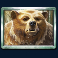 wild-tundra-slot-bear-symbol