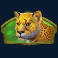 win-a-beest-slot-leopard-symbol