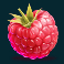 blazing-bells-slot-raspberry-symbol