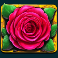 fiesta-de-san-fermin-slot-pink-rose-money-symbol