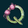 flodder-slot-q-symbol