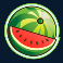 fruit-shop-slot-watermelon-symbol
