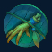 hex-slot-bird-foot-symbol