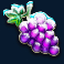 ice-joker-slot-grapes-symbol
