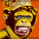 punk-toilet-slot-betty-the-chimp-symbol